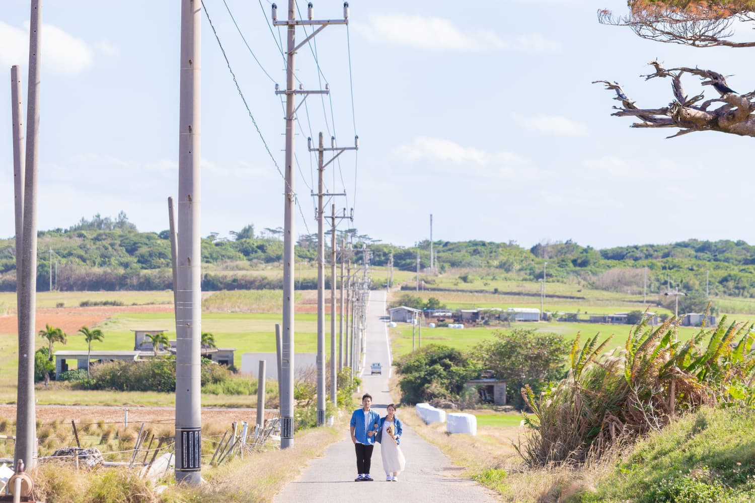 竹富島の一本道で立つ新郎新婦