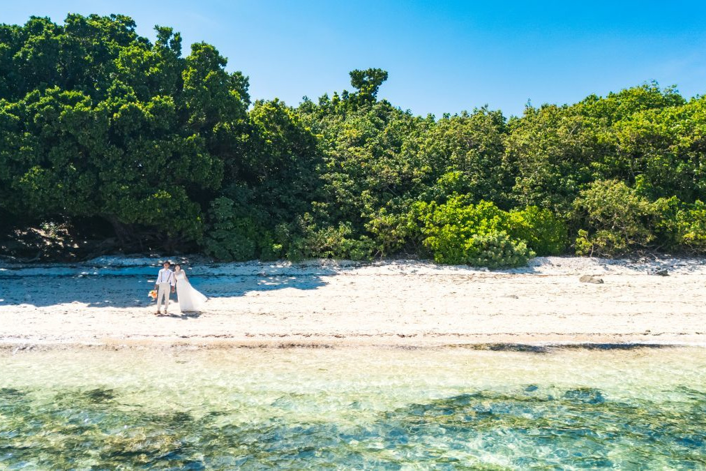 青空を背景にブーケを掲げている新婦