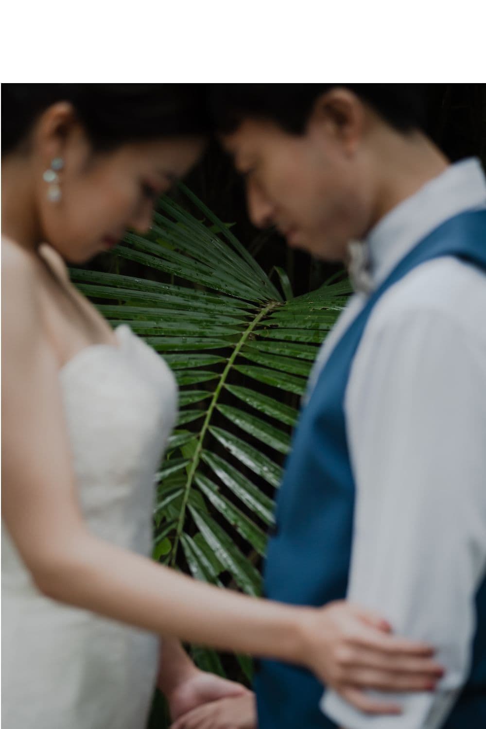 亜熱帯の植物の前で顔を寄せ合う進路新婦