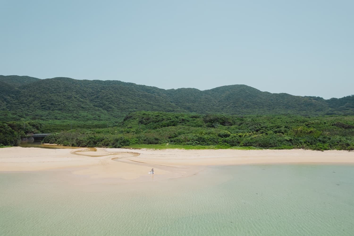 浜辺に立つ新郎新婦のドローン写真