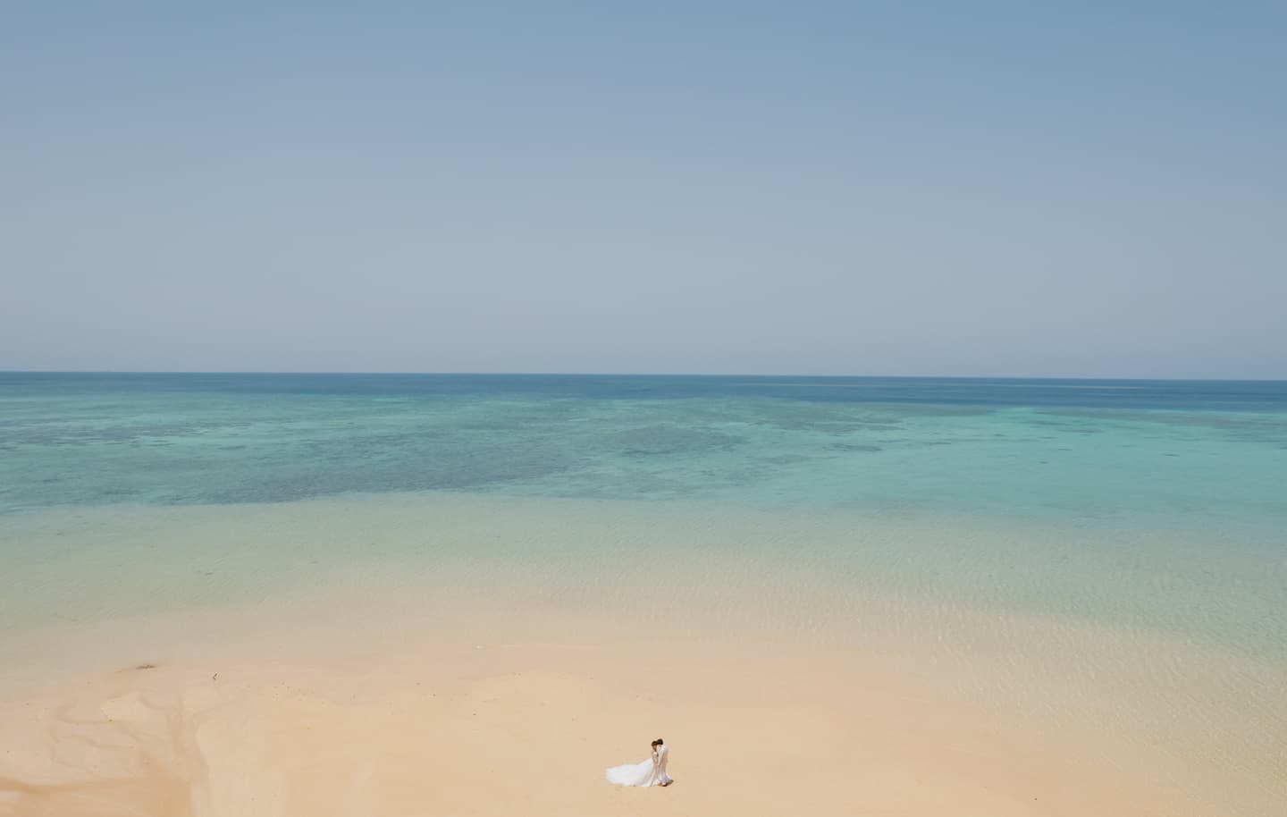 浜辺に立つ新郎新婦のドローン写真