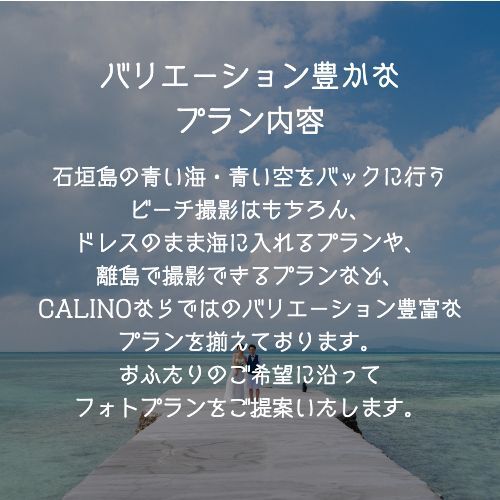 バリエーション豊かなプラン内容