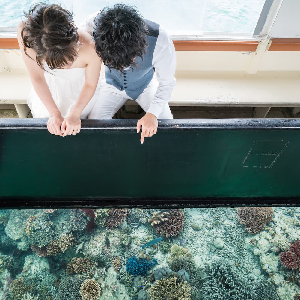 川平湾でグラスボートに乗って海中を眺める新郎新婦