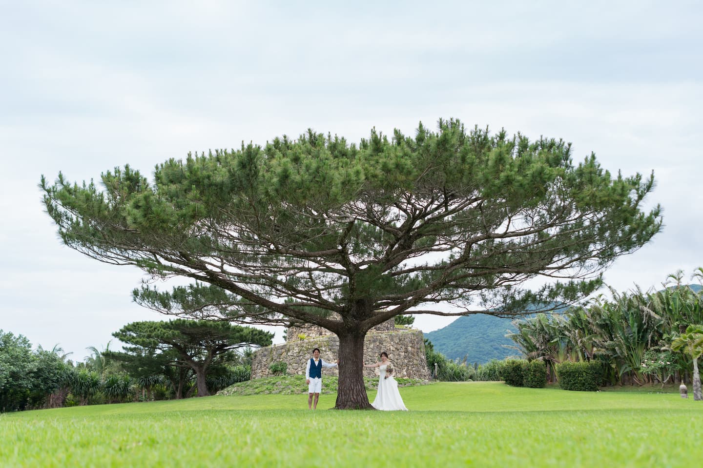 やいま村にある大きな木の下で立つ新郎新婦