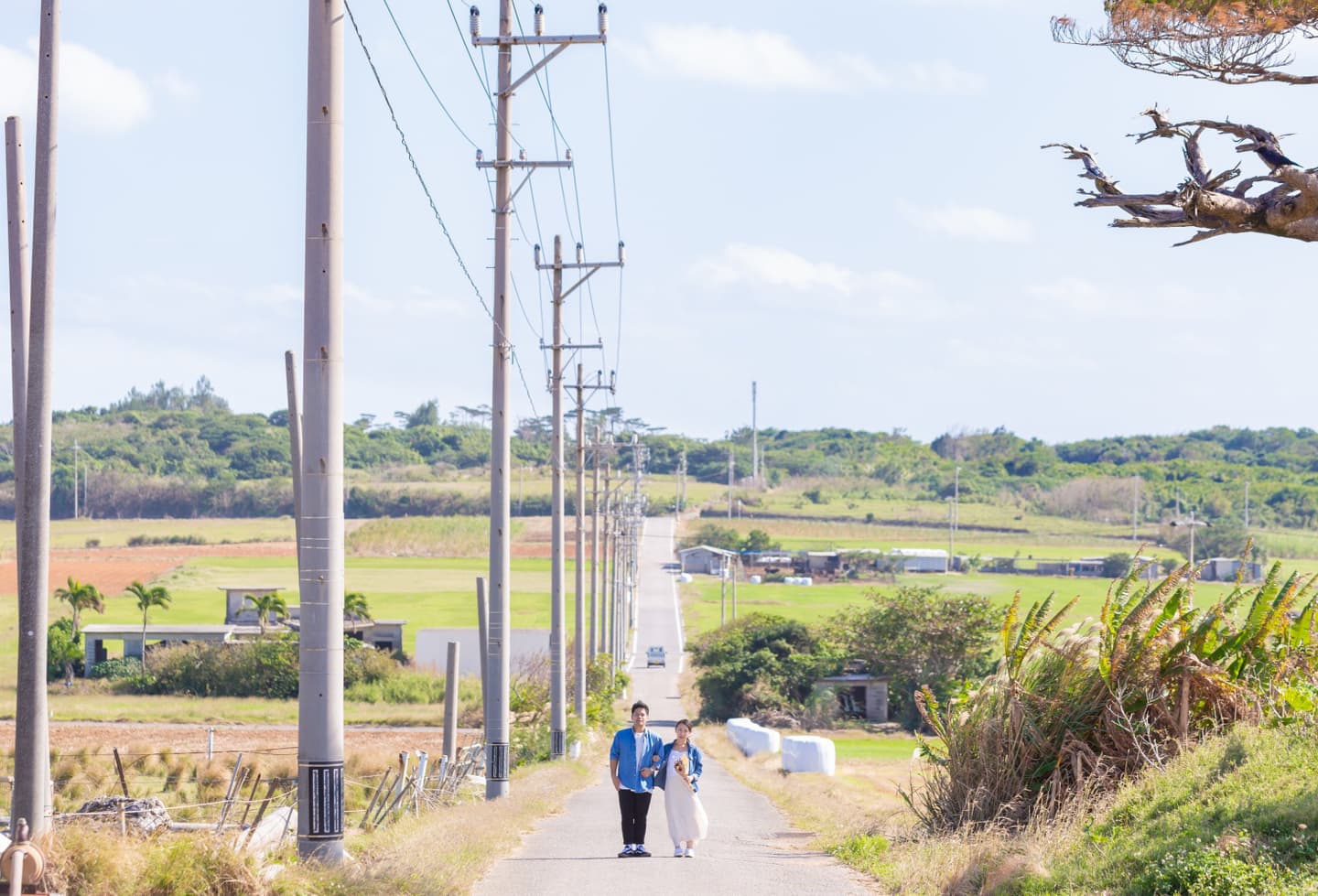 小浜島の一本道に立つ新郎新婦