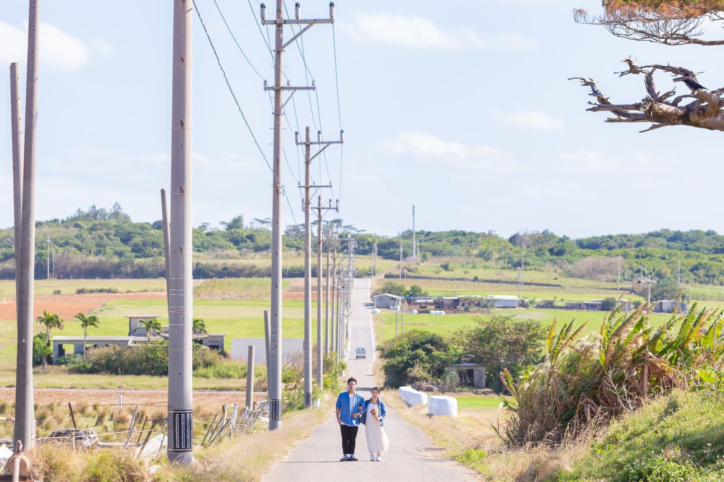 小浜島の一本道に立つ新郎新婦