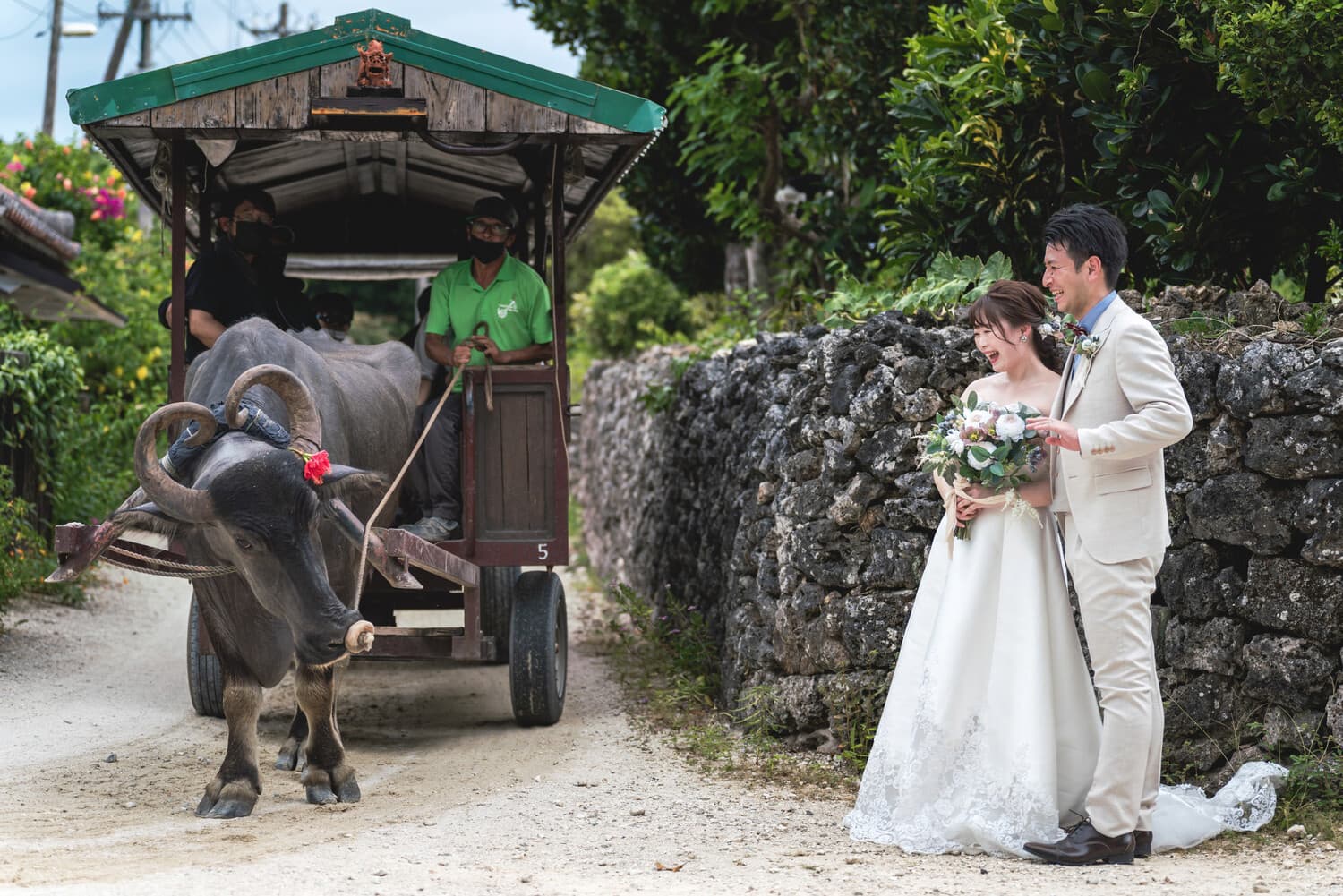 竹富島で水牛車を見る新郎新婦